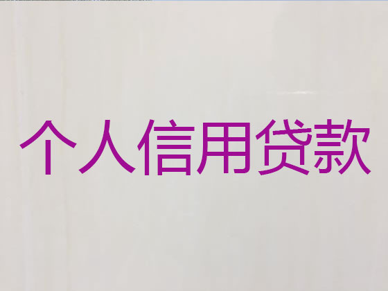 廊坊抵押担保贷款-银行信用贷款